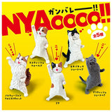 NYAoooo!! [All 5 type set (Full Complete)]