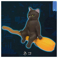 Flying broom [1.Cat]