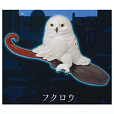 Flying broom [2.Owl]