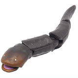 Dangerous Creature Encyclopedia Approach Precautions [4.Electric eel]