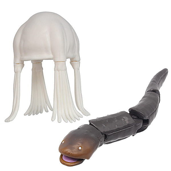 Dangerous Creature Encyclopedia Approach Precautions [Assorted 2 type set (3.Hub jellyfish/4.Electric eel)]