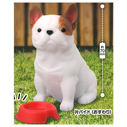 Munimuni Large French Bulldog [1.Sitting (One-sided pied)]