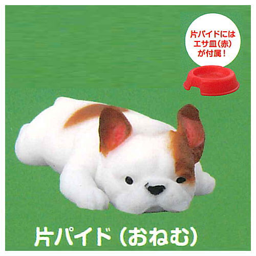 Munimuni Large French Bulldog [2.Onemu (One-sided pied)]