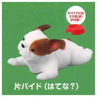 Munimuni Large French Bulldog [6.Hatena? (One-sided pied)]