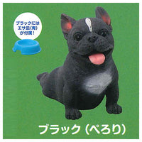 Munimuni Large French Bulldog [10.Perori (Black)]