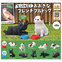 Munimuni Large French Bulldog [All 12 type set(Full Complete)]