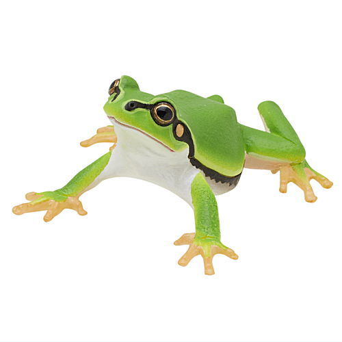 Frog Ball Chain Nature Techni Colour MONO PLUS