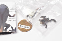 Nature Techni Colour MONO PLUS "Toad & Tree frog" Magnet & ball chain [4.Japanese common toad Tadpoles (larva 3 & larva) (Magnet type)]