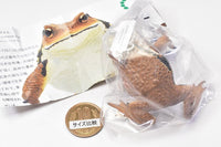 Nature Techni Colour MONO PLUS "Toad & Tree frog" Magnet & ball chain [6.Japanese common toad (Ball chain type)]