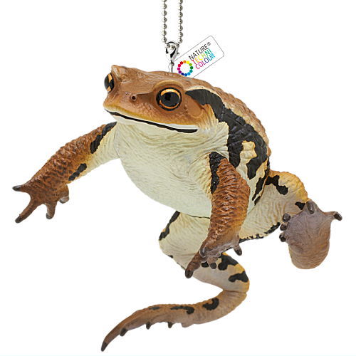 Nature Techni Colour MONO PLUS "Toad & Tree frog" Magnet & ball chain [6.Japanese common toad (Ball chain type)]