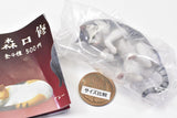 ART IN THE POCKET Osamu Moriguchi Cat Figure mascot Figure Mascot 2 New Color [4.Sabatora white]