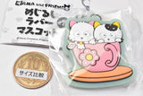 Tama & Friends Mejirushi Rubber Mascot [4.Tama & Momo]