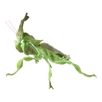 Mini Collection Insect 02 [4.Ghost Mantis (Green)]