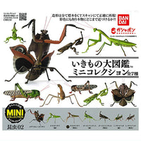 Mini Collection Insect 02 [All 7 type set(Full Complete)]