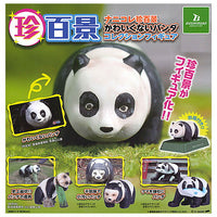 Nanikore Chin Hyakkei Kawaikunai Panda Collection Figure [All 4 type set(Full Complete)]