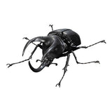 Beetle Gashapon 04 [2.Chalcosoma moellenkampi]