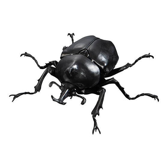 Beetle Gashapon 04 [5.Okinawan stag beetle]