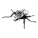 Beetle Gashapon 04 [6.Rare: Goliathus quadrimaculatus]