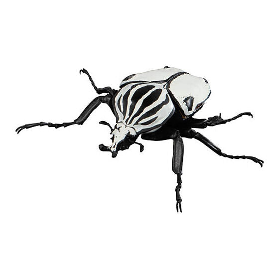 Beetle Gashapon 04 [6.Rare: Goliathus quadrimaculatus]