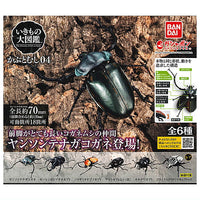 Beetle Gashapon 04 [All 6 type set(Full Complete)]