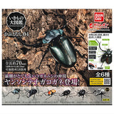 Beetle Gashapon 04 [All 6 type set(Full Complete)]