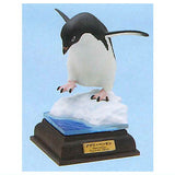 Nature Techni Colour The South Pole Special Edition [3.Adelie penguin]