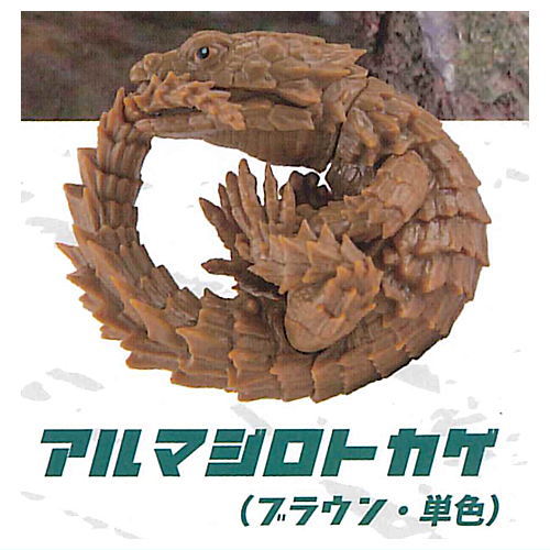 1/1 Tamao gecko & Armadillo lizard [4.Armadillo lizard (brown, single color)]