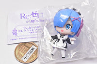 Re: Life in a different world from Zero Ram to Rem ga Ippai Collection Figure RICH birthday life ver. [2.Rem]