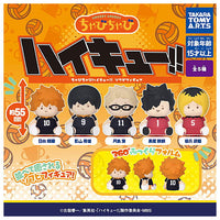 Chubby Chubby Haikyuu!! Sofubi Figure [All 5 type set(Full Complete)]