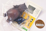 TANITA & Panda's ana Product What's my weight today? [2.RD-915L (Hippo) 'World's First' Hippopotamus]