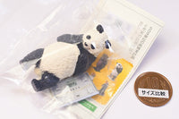 TANITA & Panda's ana Product What's my weight today? [3.BC-315 (Panda) Shosuten dainii suki hen]