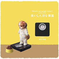 TANITA & Panda's ana Product What's my weight today? [5.HA-650 (Shih Tzu) Kuishinbona boku hen]