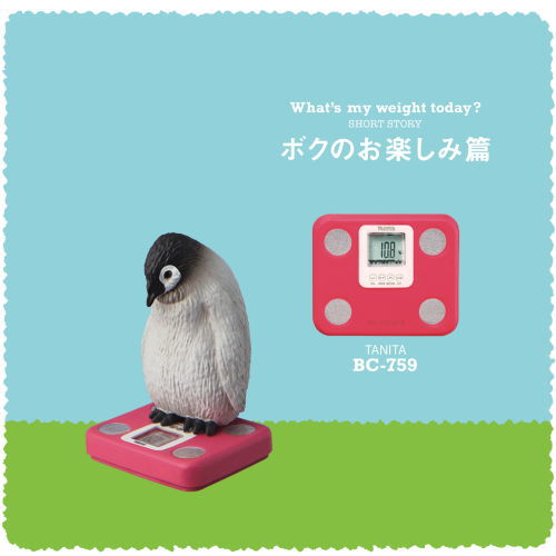 TANITA & Panda's ana Product What's my weight today? [6.BC-759 (Penguins) My Fun Edition]