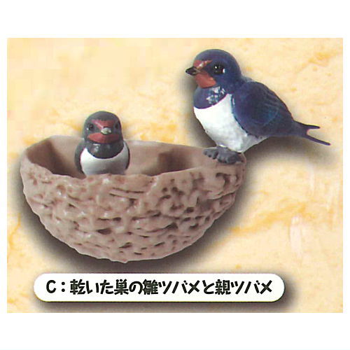 anywhere! swallow's nest mascot [3.Chick swallow in dry nest and parent swallow]