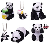 Baby panda [All 6 type set(Full Complete)]