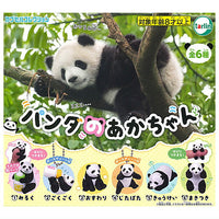 Baby panda [All 6 type set(Full Complete)]