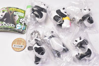 Baby panda [All 6 type set(Full Complete)]