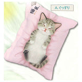 Nekobu Kitten sleeps hesoten mini cushion ball chain [1.Gussuri]