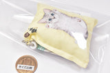 Nekobu Kitten sleeps hesoten mini cushion ball chain [3.Omezame]