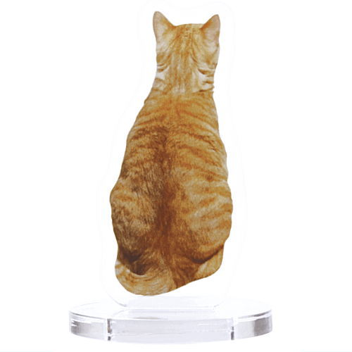 Behind the cat acrylic stand [2.Chatra]