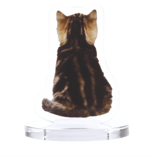 Behind the cat acrylic stand [6.Tabby (kitten)]