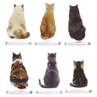 Behind the cat acrylic stand [All 6 type set(Full Complete)]