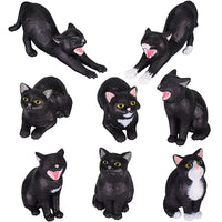 My black cat [All 8 type set (Full Complete)]