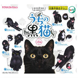 My black cat [All 8 type set (Full Complete)]