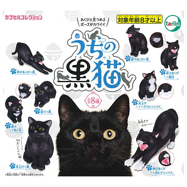 My black cat [All 8 type set (Full Complete)] – toysantajp