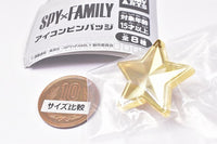 SPYxFAMILY icon pin badge [1.Star (Stella)]