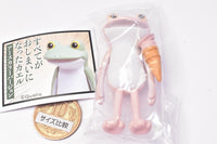 Subetegaoshimaininatta Frog earth color version [2.Pink frog and ice cream]