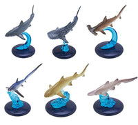 Nature Techni colour 400 Shark [All 6 type set(Full Complete)]