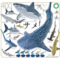 Nature Techni colour 400 Shark [All 6 type set(Full Complete)]