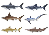 Nature Techni colour 400 Shark [All 6 type set(Full Complete)]